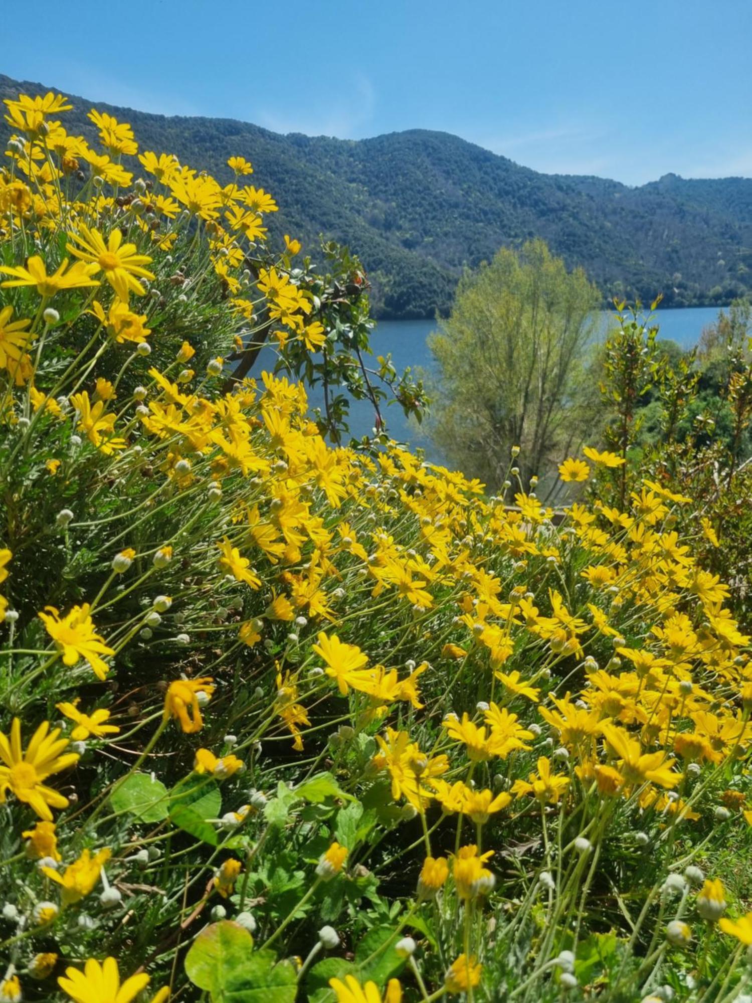 Côté Lac Tolla Extérieur photo